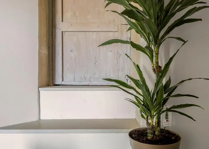 Oda ve Kahvaltı Archimede Charm B&B - Historical Palace In Ortigia